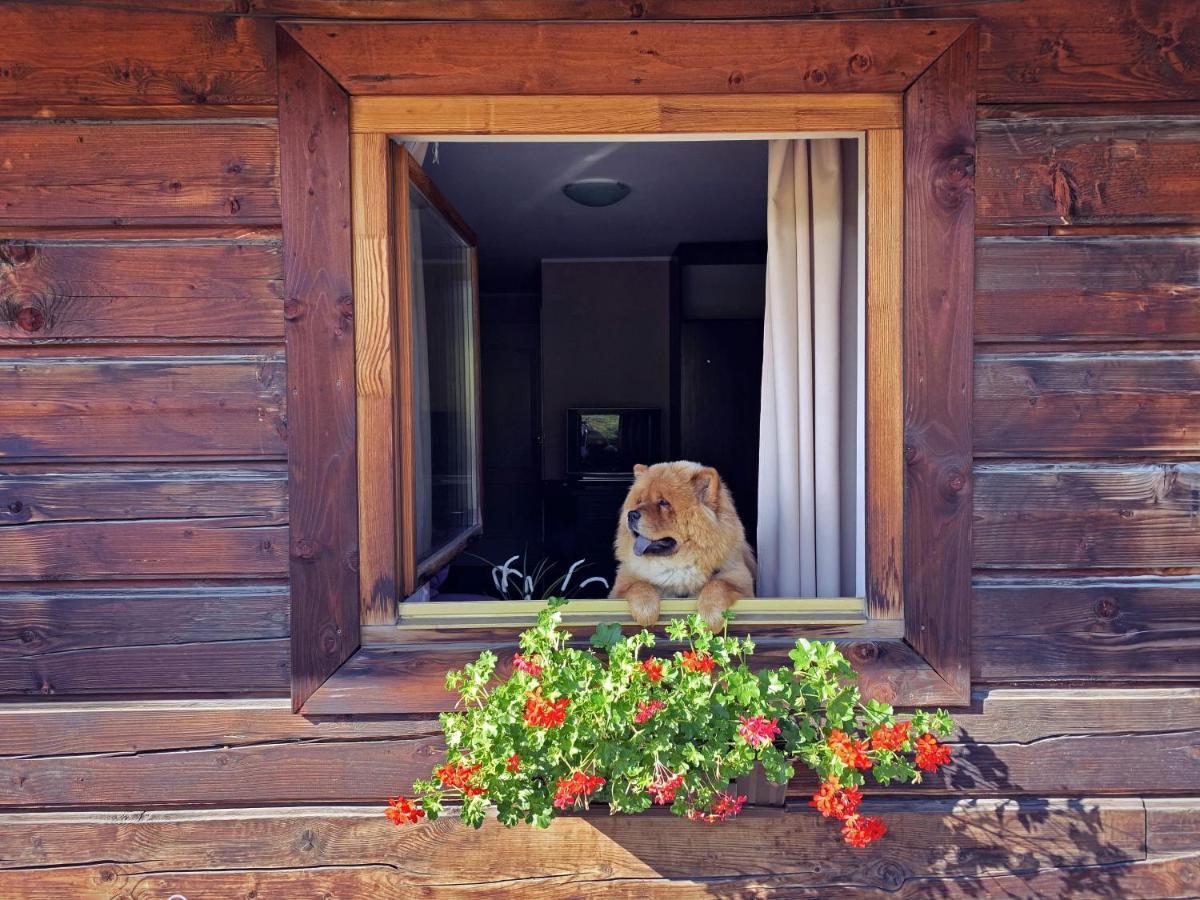 Czarna Owca Bed & Breakfast อิสเตบนา ภายนอก รูปภาพ