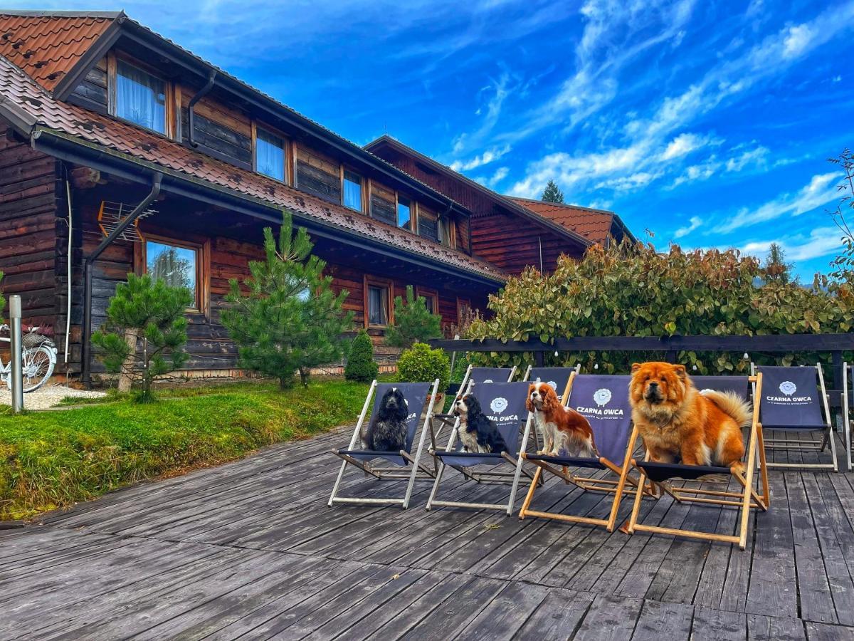 Czarna Owca Bed & Breakfast อิสเตบนา ภายนอก รูปภาพ