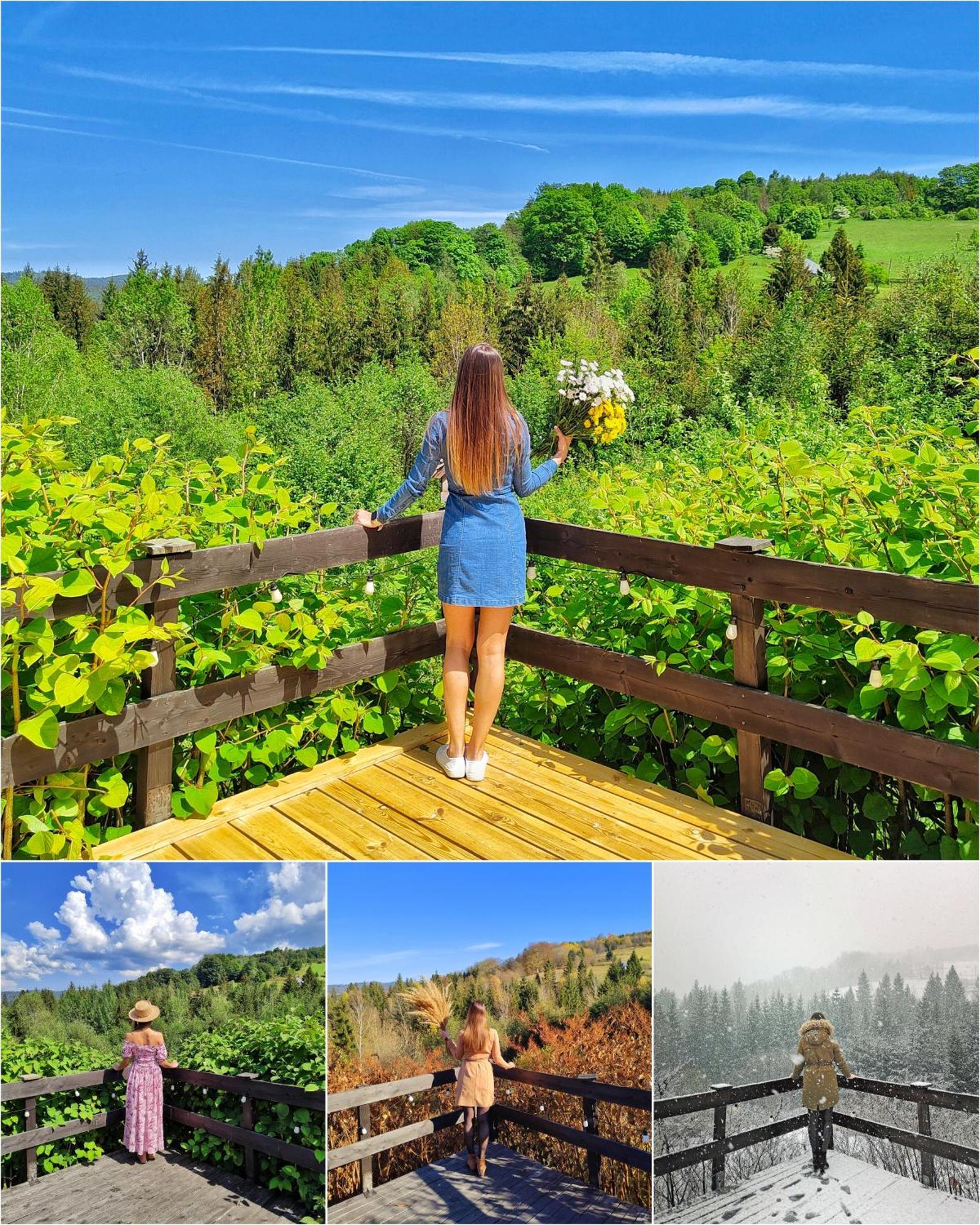 Czarna Owca Bed & Breakfast อิสเตบนา ภายนอก รูปภาพ