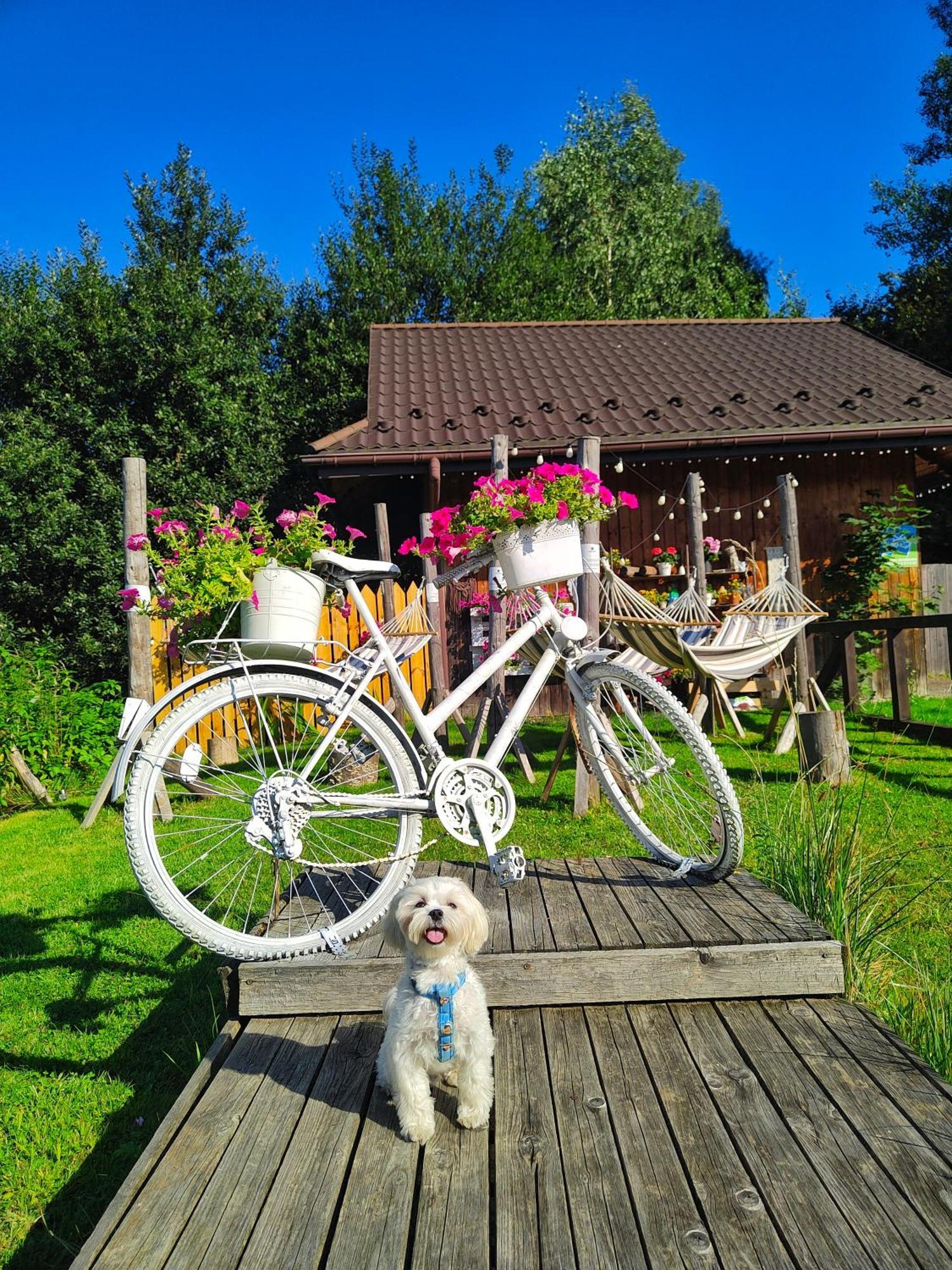 Czarna Owca Bed & Breakfast อิสเตบนา ภายนอก รูปภาพ
